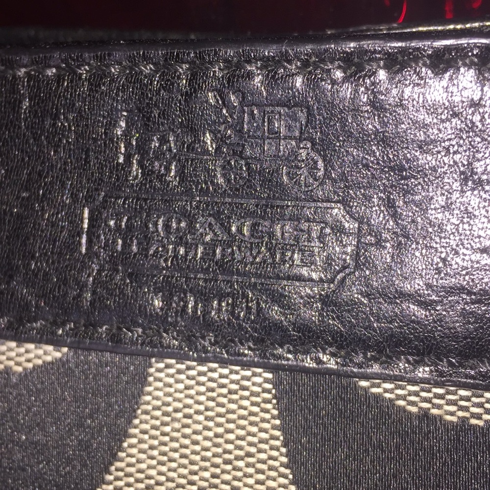 Coach Zoe Mini Signature Bag Gem